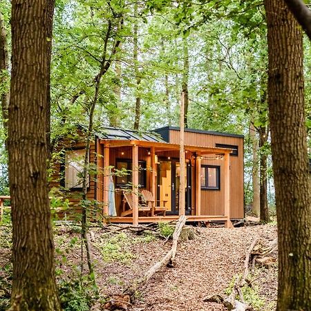 Tinyparks Forest Cabins Hoogersmilde Zewnętrze zdjęcie