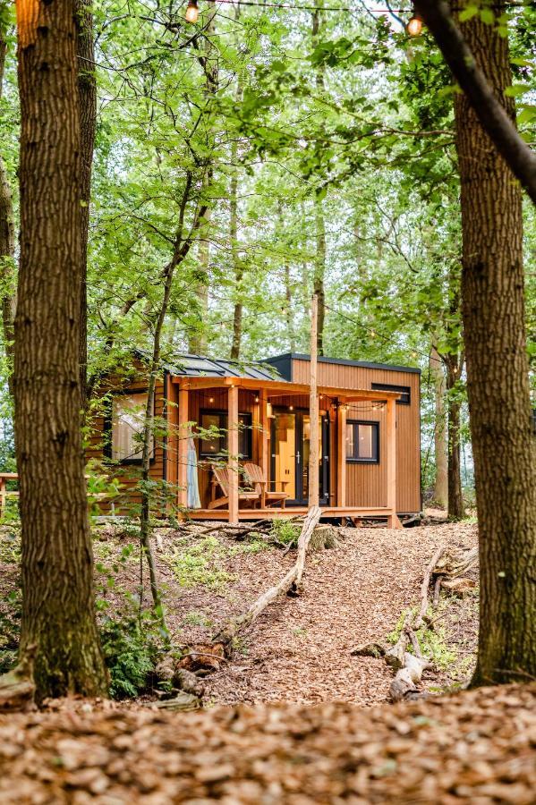 Tinyparks Forest Cabins Hoogersmilde Zewnętrze zdjęcie
