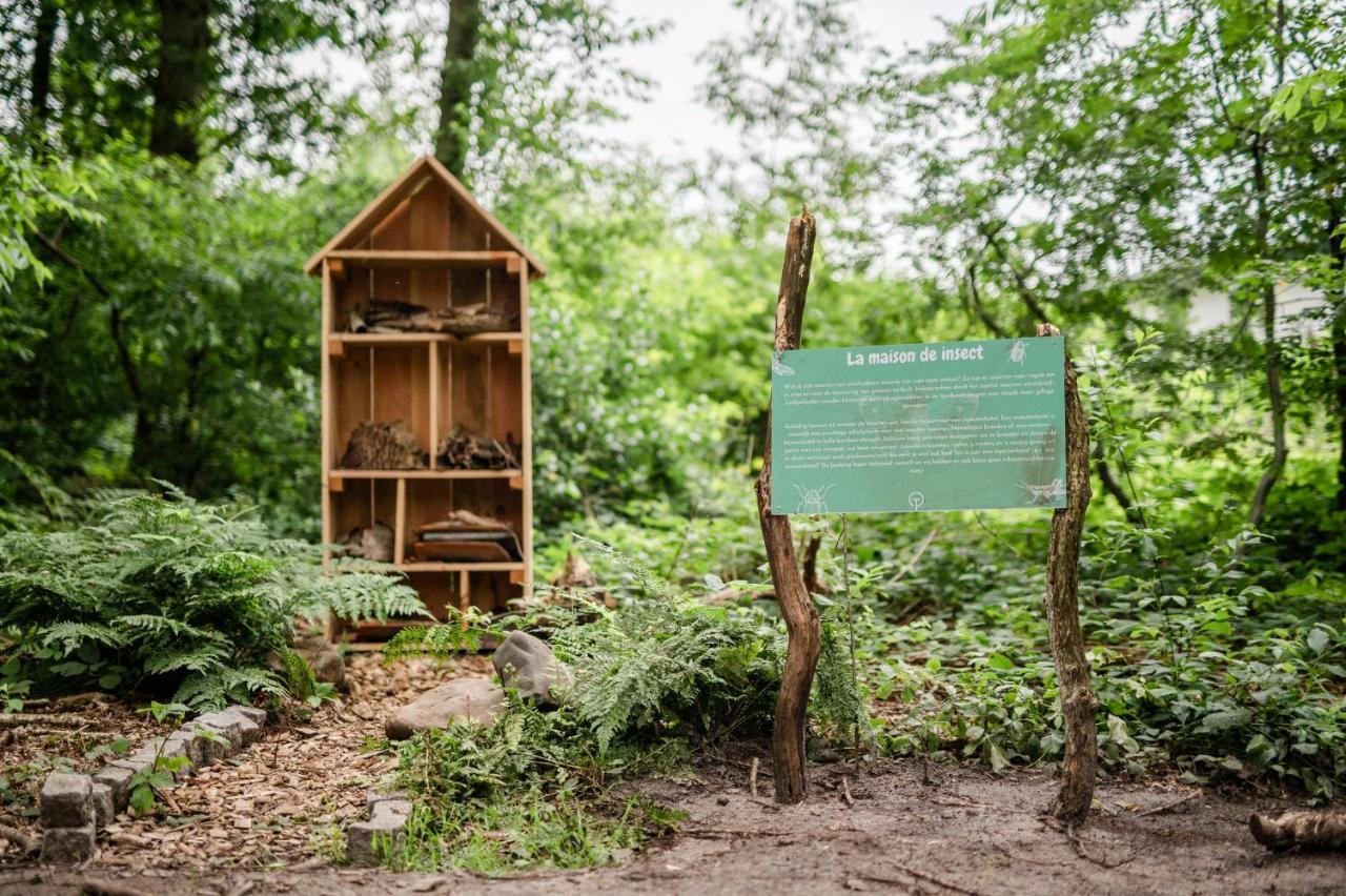 Tinyparks Forest Cabins Hoogersmilde Zewnętrze zdjęcie