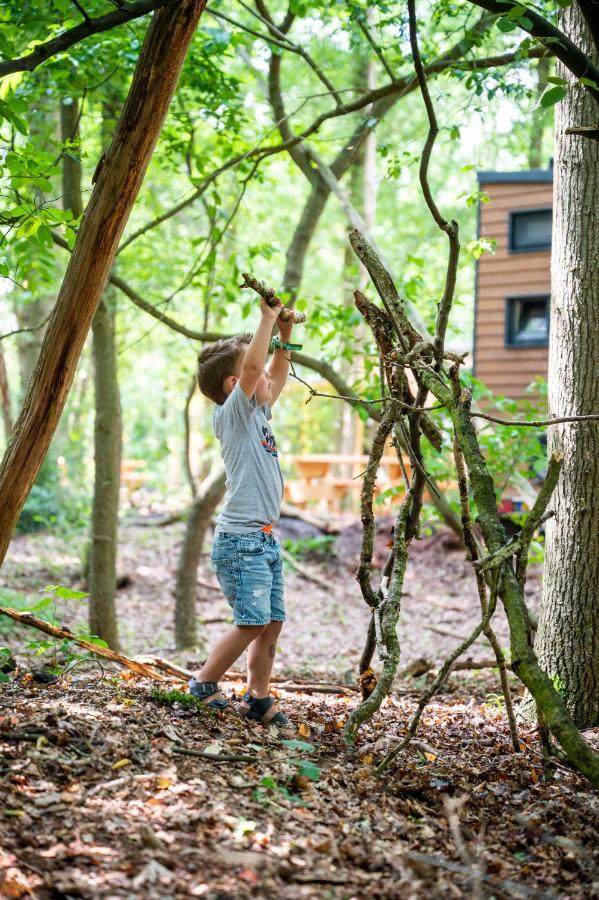 Tinyparks Forest Cabins Hoogersmilde Zewnętrze zdjęcie