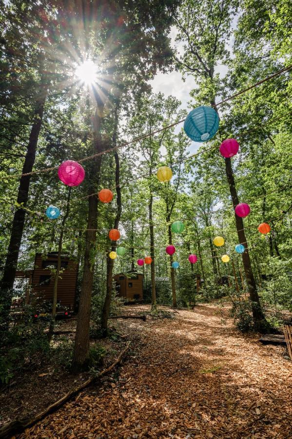 Tinyparks Forest Cabins Hoogersmilde Zewnętrze zdjęcie