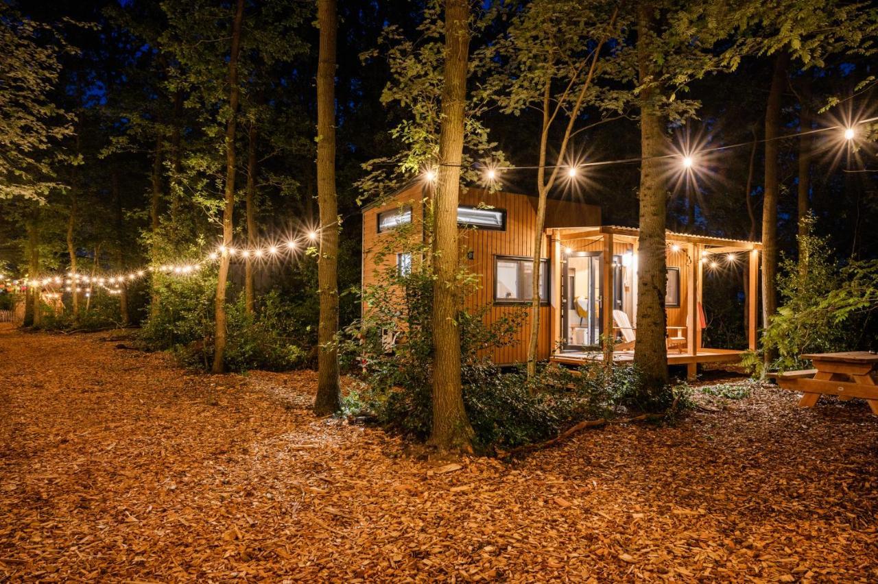 Tinyparks Forest Cabins Hoogersmilde Zewnętrze zdjęcie