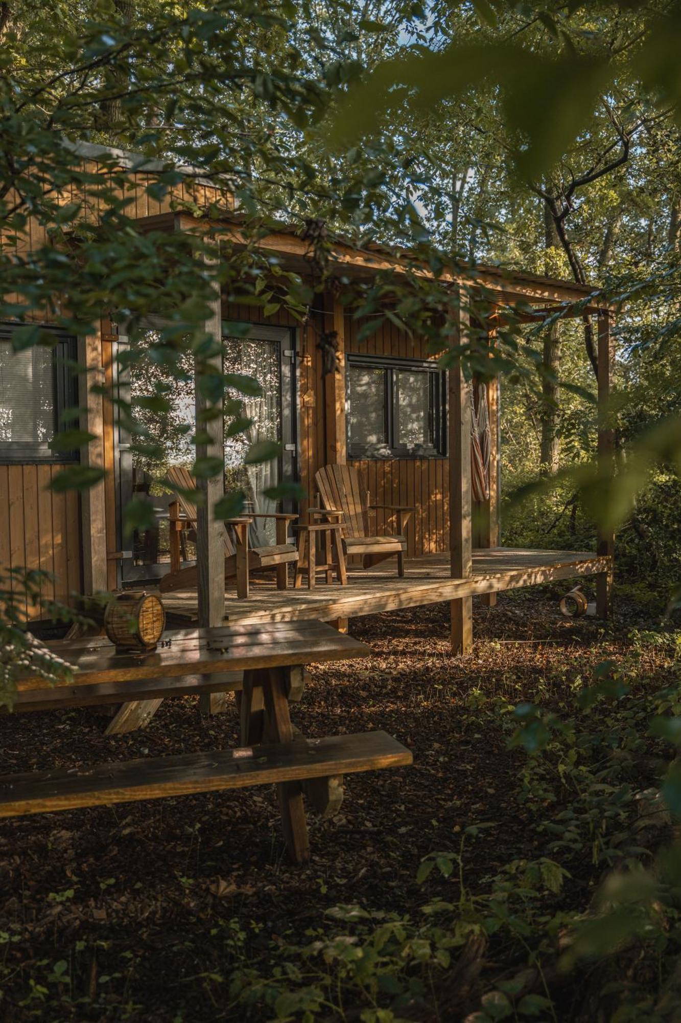 Tinyparks Forest Cabins Hoogersmilde Zewnętrze zdjęcie